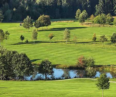 Golfplatz mit Teich und Bewaldung Golfplatz mit Teich und Bewaldung